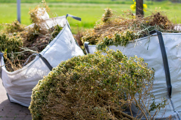 Best Professional Junk Removal  in Queens, NY